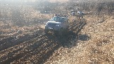 20250316_163734.jpg