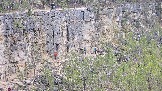 20250503_164617.jpg