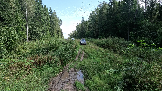 Трофи-лайф фото 4х4 Корпаративный Джип-тур в Яхроме 17.08.2024 - (7).png