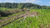 20260801_135342.jpg