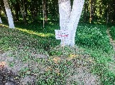 IMG_20260612_093351_056.jpg