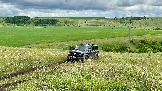 IMG_1247.jpg
