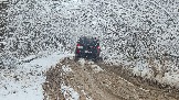 20251115_113203(0).jpg