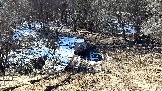 Трофи-лайф фото 4х4 покатушка Дмитровская Игрушка 08.03.2025 - (43).jpg