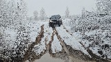 20251115_112558.jpg