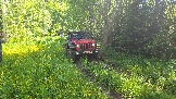 20260606_114800.jpg