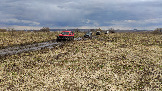 Трофи-лайф фото 4х4 покатушка Ступинский Крюк 18.04.2026 - 34.jpg