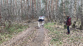 Трофи-лайф фото 4х4 покатушка Шатурские Тайны 03.11.2024 -  (3).png