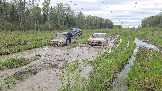 20260510_171538.jpg