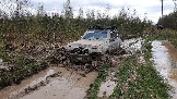 20250426_121229.jpg