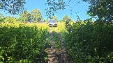 20260801_123730.jpg