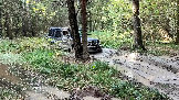 Трофи-лайф фото 4х4 покатушка НовоИстринские Просеки 12.10.2024 -  (15).png