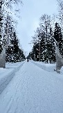 IMG_7790.jpg