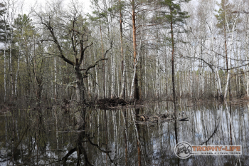 Фото Трофи-лайф 4х4 покатушка-экспедиция Мещерские Озёра 8-9.05 (96).jpg