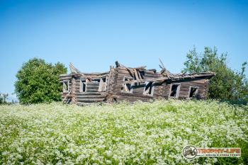 _DSC7880.jpg