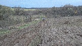 20251025_170343.jpg