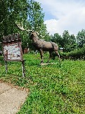 IMG_20260613_134926_761.jpg
