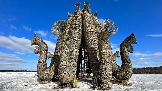 IMG_1402.jpg