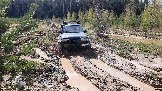 20250426_114434(0).jpg