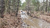 20250315_121324.jpg