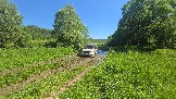 20260606_151114.jpg