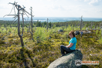 _DSC7368.jpg