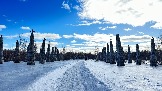 IMG_1365.jpg