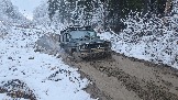 20251115_122454.jpg