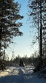 IMG_3008.JPG