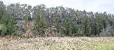 IMG_20231105_111633.jpg