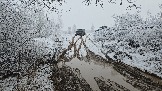 20251115_112647.jpg
