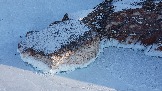 DJI_0979.JPG