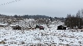 Трофи-лайф фото 4х4 покатушка Рогачевские Сокровища  08.02.2025 - (2).jpg