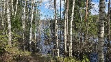 20260502_124112.jpg