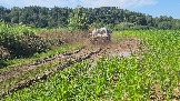 20260801_135346.jpg