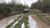 20250426_121222.jpg