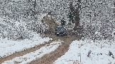 20251115_123724.jpg