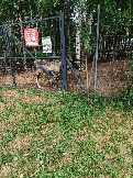 IMG_20260613_135108_665.jpg