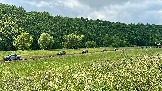 IMG_1589.jpg