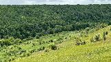 IMG_1165.jpg