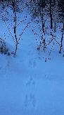 IMG_3029.JPG