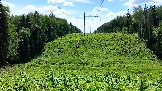 Трофи-лайф фото 4х4 покатушка Ярославский Рубильник 15.06.2024 -  (35).png