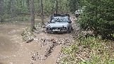 20260510_115420.jpg