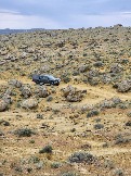 Трофи-лайф Экспедиция Казахстан Май 2024 (43).jpg