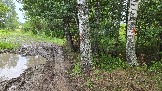 20250801_132124.jpg