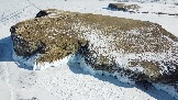 DJI_0299.JPG