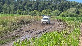 20260801_135005.jpg