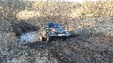 20250308_171330.jpg