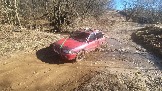 20250308_114803.jpg
