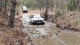 20250315_121342.jpg